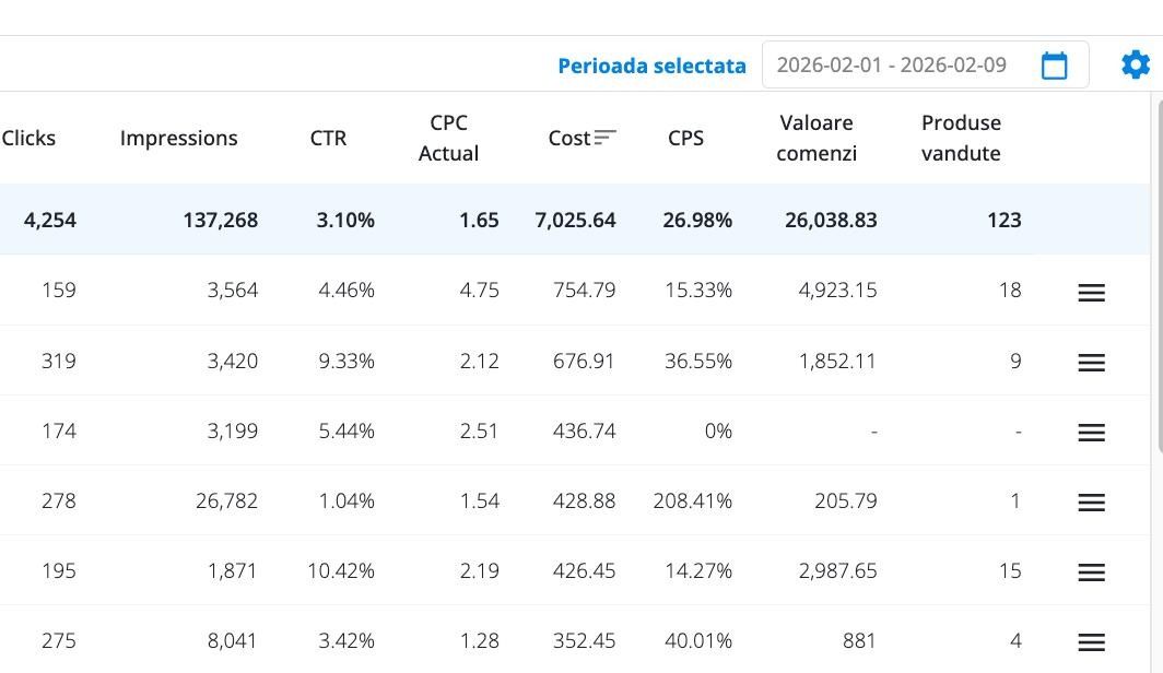 Campanii ads dupa optimizare